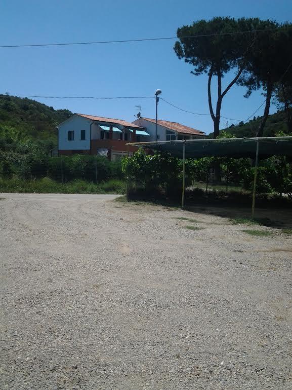 Hotel Rustichello Marina di Campo Zewnętrze zdjęcie