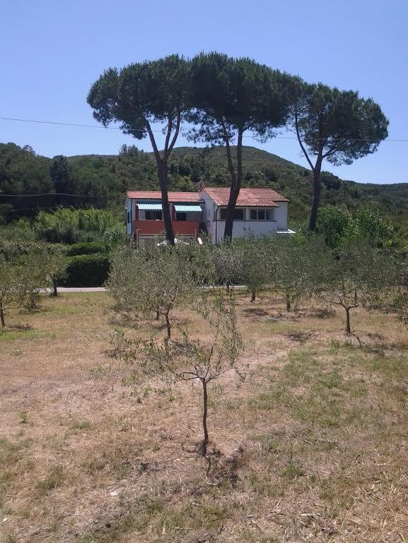 Hotel Rustichello Marina di Campo Zewnętrze zdjęcie